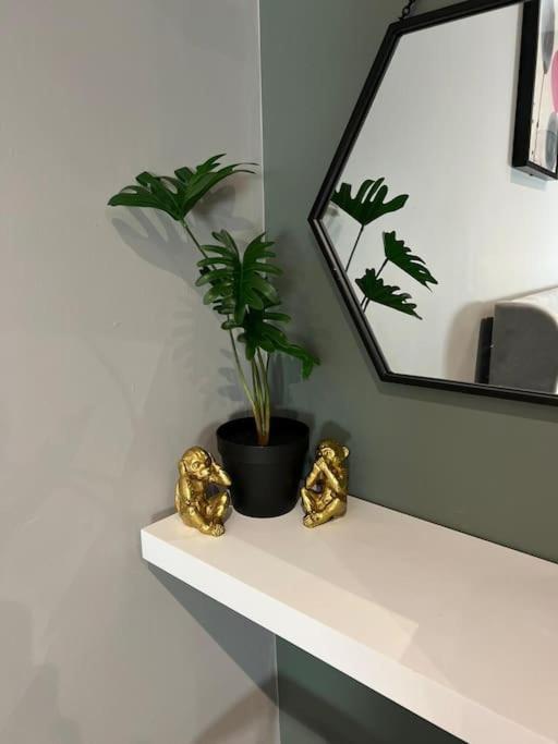 Peaceful & Stylish Brighton Studio Apartment 외부 사진
